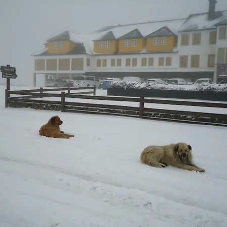 Serra Da Estrela