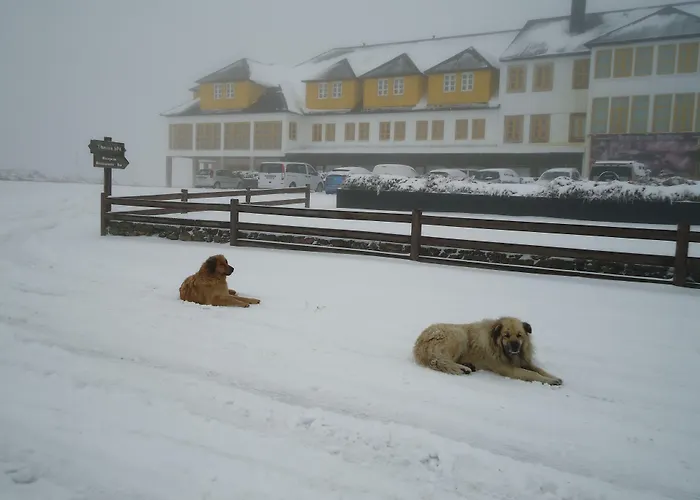 Luna Serra Da Estrela